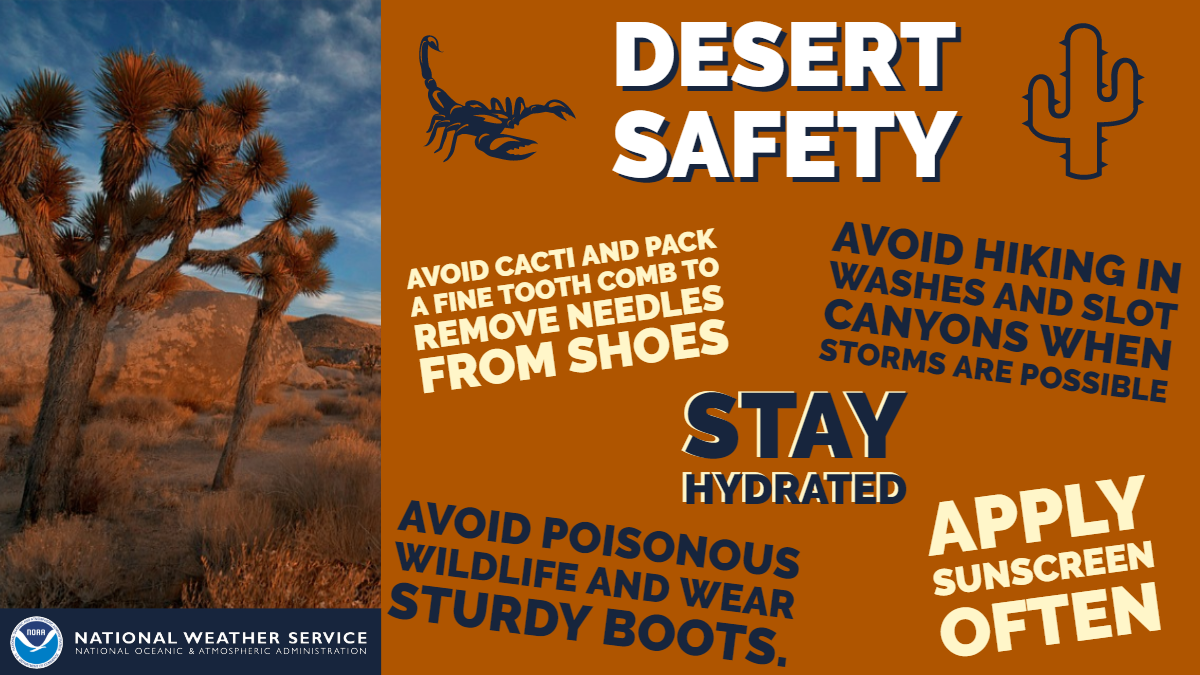 Desert Safety.png